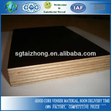 Excellent Eucalyptus Film Faced Plywood